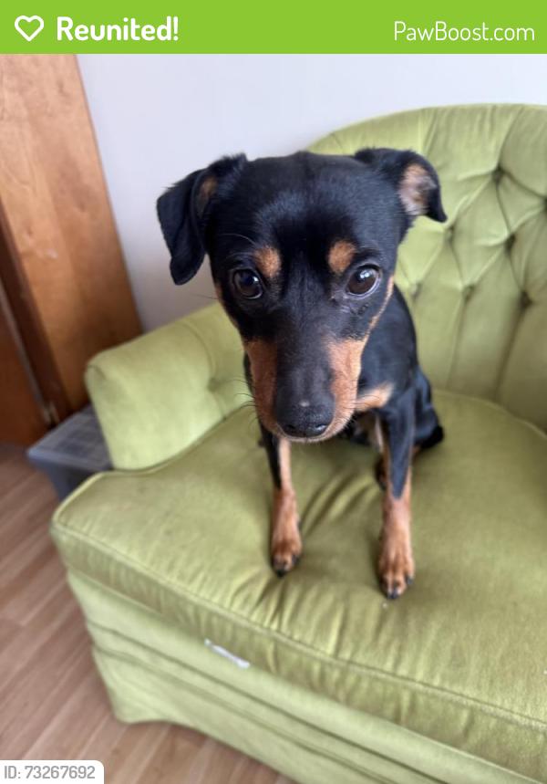 Reunited Male Dog last seen High Creek Lane and springs Fireplace Road, East Hampton, NY 11937
