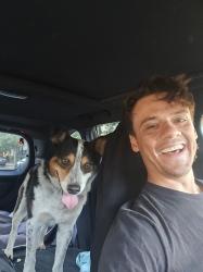 Found/Stray Male Dog last seen Shasta Daisy Drive, Brentwood, CA 94513