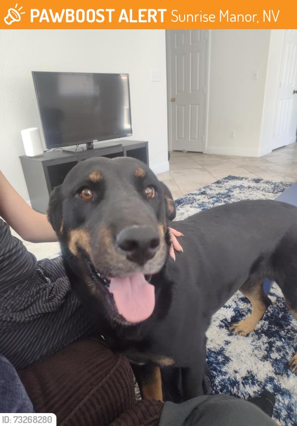 Found/Stray Male Dog last seen Mt Hood and Bryce canyon, Sunrise Manor, NV 89156