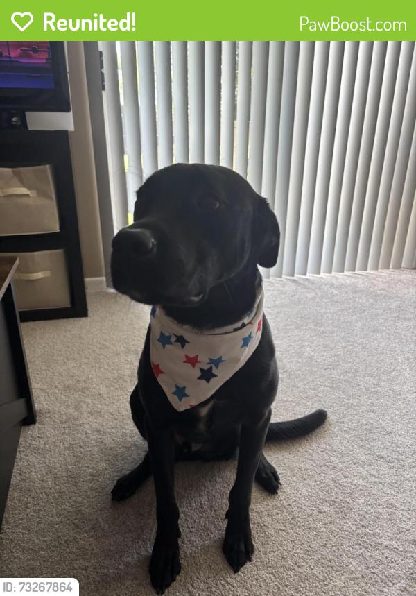 Reunited Male Dog last seen Montgomery Highway, Homewood, AL 35209
