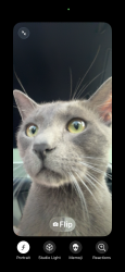 Found/Stray Unknown Cat last seen Otay Ranch Mall, Chula Vista, CA 91913