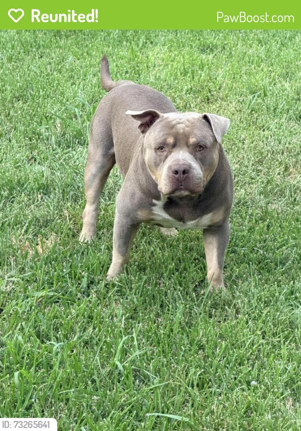 Reunited Male Dog last seen Brentwood, Fort Worth, TX 76112