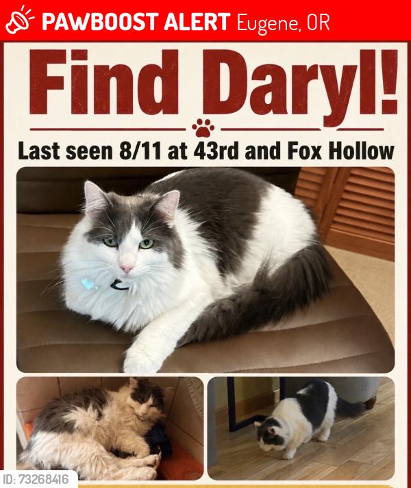 Lost Male Cat last seen 43rd fox hollow, Eugene, OR 97405