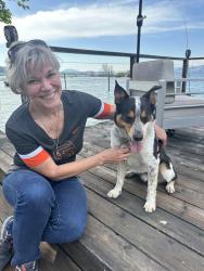 Reunited Male Dog last seen Effie ct, Brentwood, CA 94513