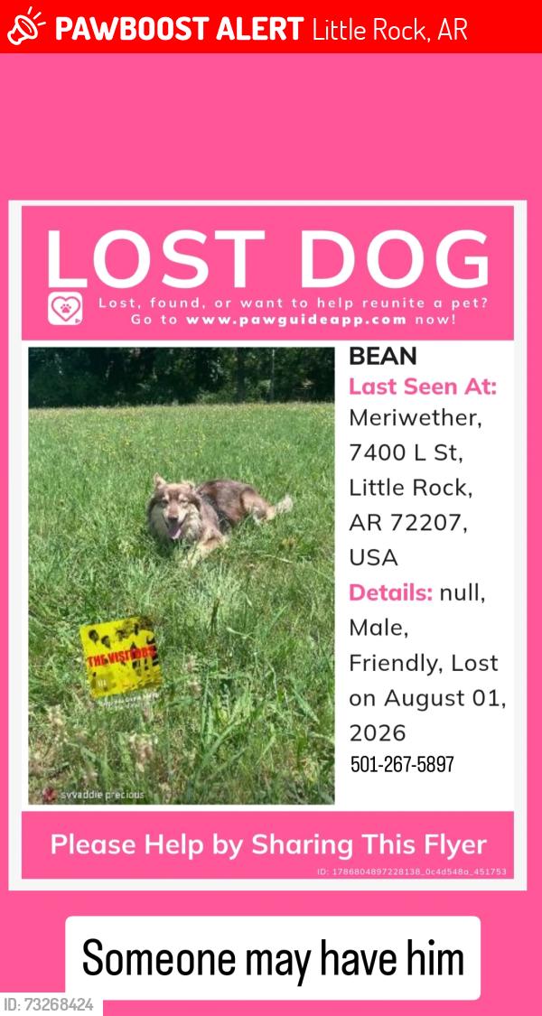 Lost Male Dog last seen L street, Little Rock, AR 72207