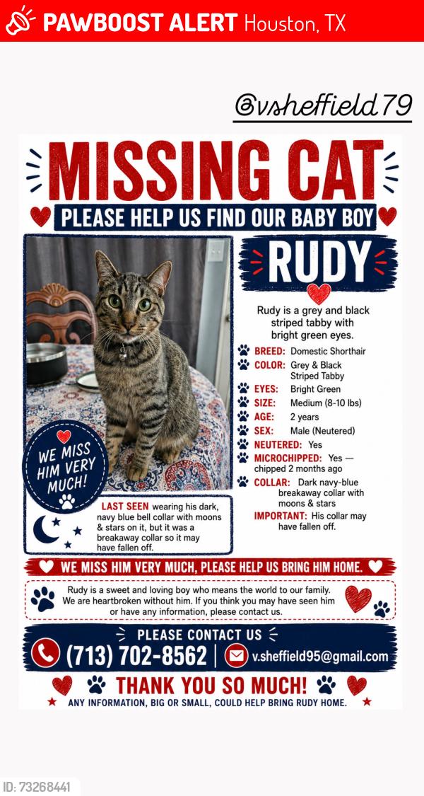 Lost Male Cat last seen Sonoma Ranch, Houston, TX 77049