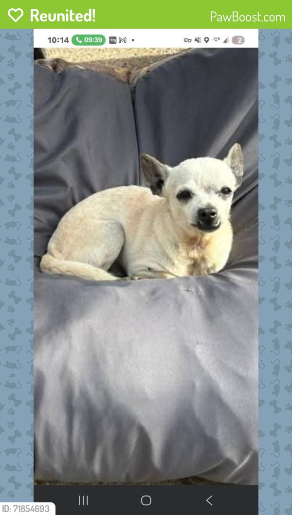 Reunited Male Dog last seen Avenue G, South Houston, TX 77587