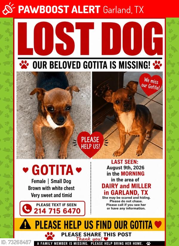 Lost Female Dog last seen Miller and dairy rd, Garland, TX 75040