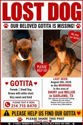 Lost Female Dog last seen Miller and dairy rd, Garland, TX 75040