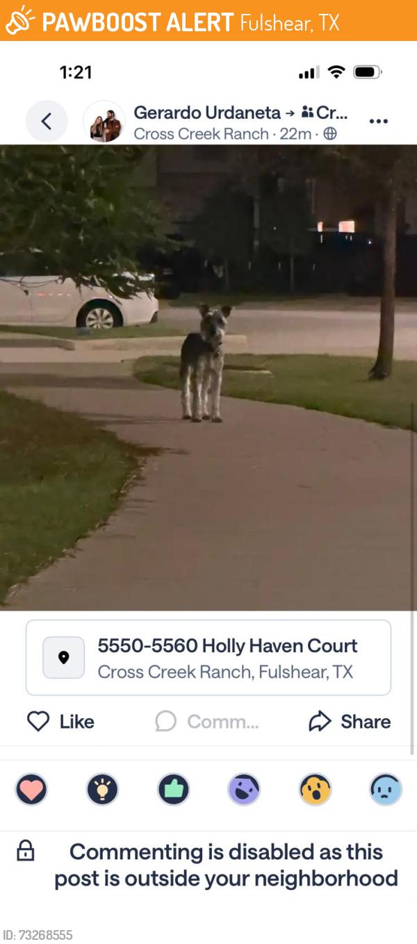 Found/Stray Male Dog last seen Holly Heaven Court, Fulshear, TX 77441