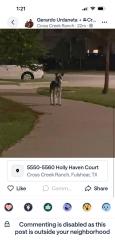 Found/Stray Male Dog last seen Holly Heaven Court, Fulshear, TX 77441