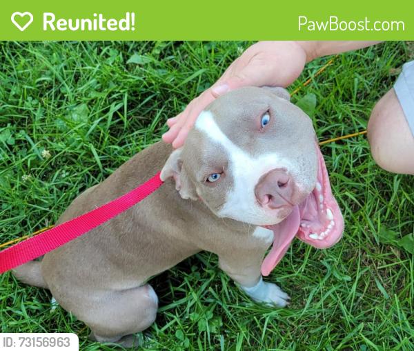 Reunited Female Dog last seen E River Rd NE and 32nd Street NE, Rochester, MN 55902