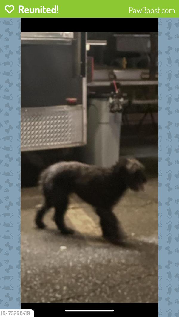 Reunited Unknown Dog last seen Near Watt Ave, North Highlands, CA 95660, USA, North Highlands, CA 95660