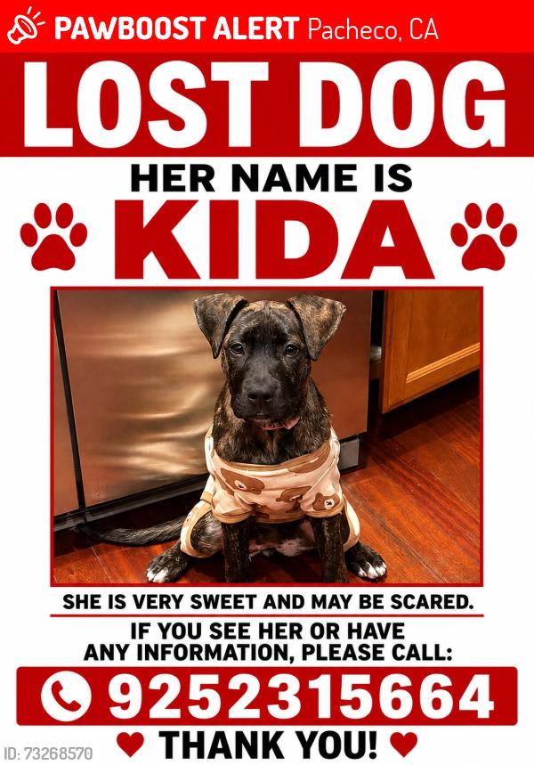 Lost Female Dog last seen First ave pacheco, Pacheco, CA 94553