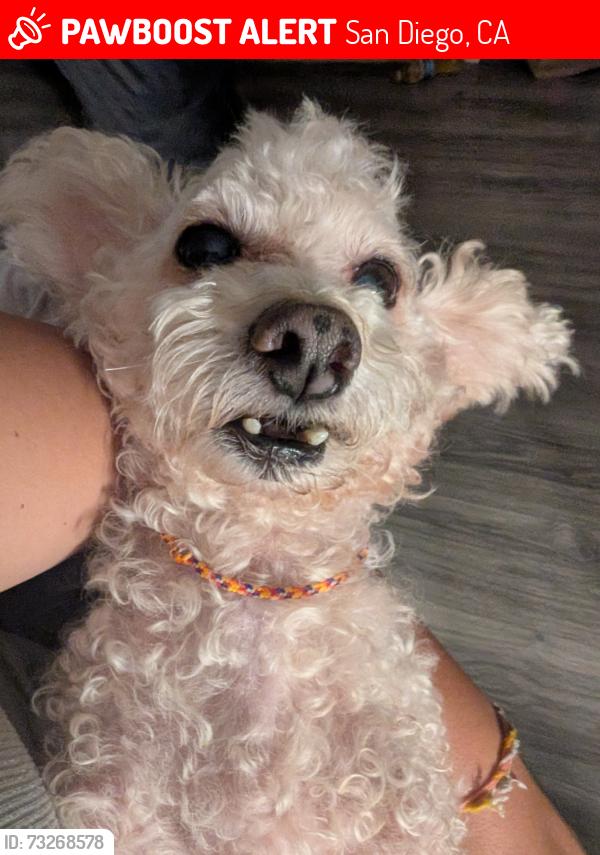 Lost Male Dog last seen Rosa parks elementary, San Diego, CA 92105