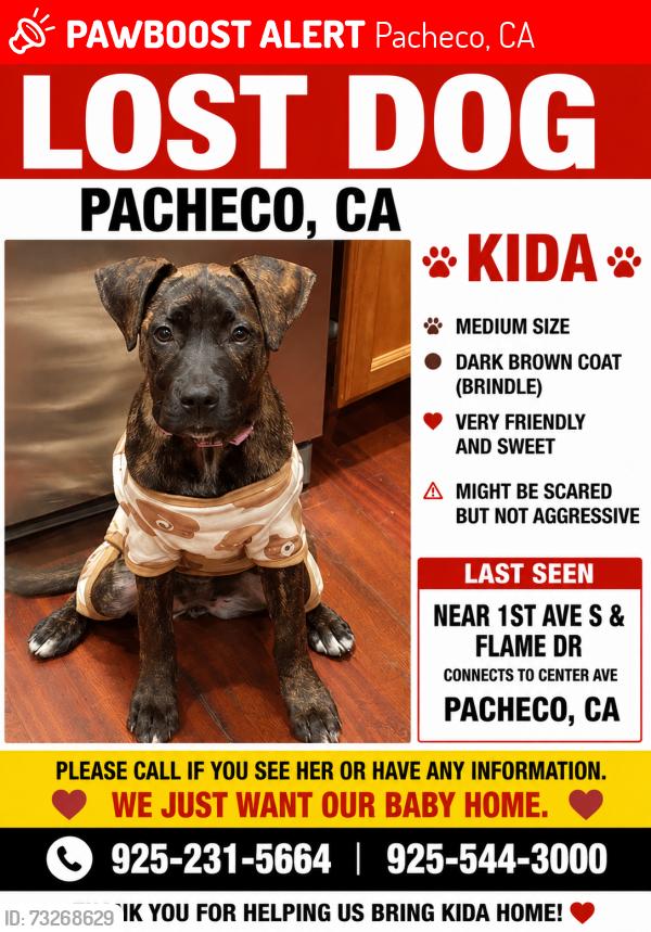 Lost Female Dog last seen 1st ave s & Flame Dr, Pacheco, CA 94553
