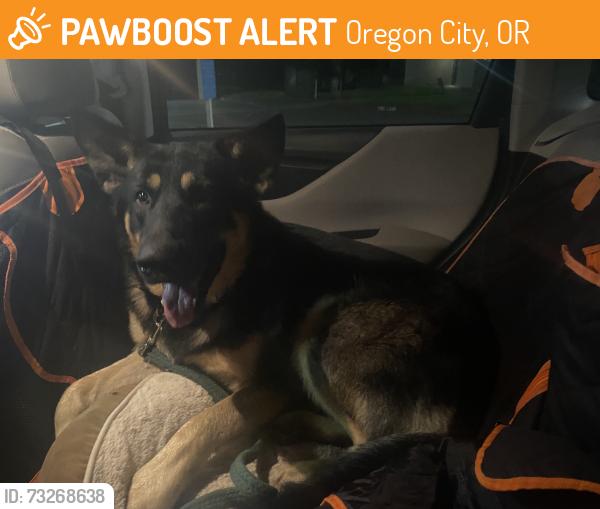 Found/Stray Male Dog last seen Milk Creek, Oregon City, OR 97045