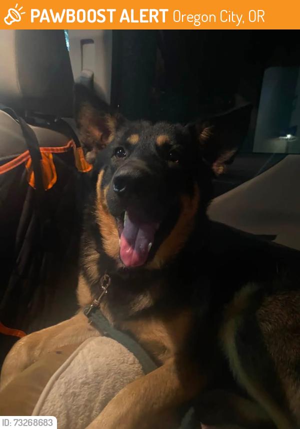Found/Stray Male Dog last seen Milk creek, Oregon City, OR 97045