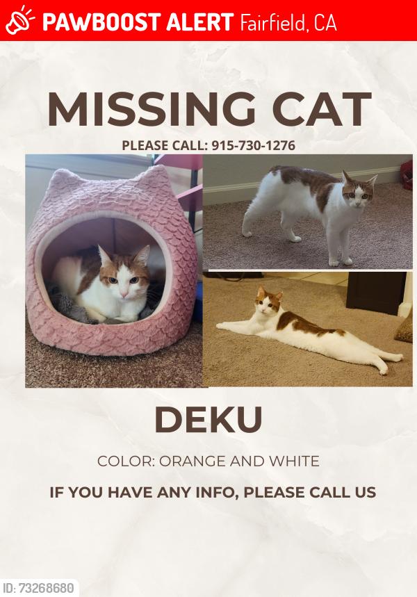 Lost Male Cat last seen Near the Travis afb dog park, Fairfield, CA 94535
