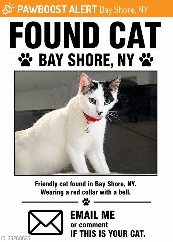 Found/Stray Unknown Cat last seen Near Pine Acres Blvd Bay Shore, NY 11706, Bay Shore, NY 11706