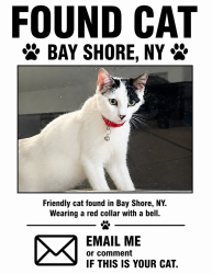 Found/Stray Unknown Cat last seen Near Pine Acres Blvd Bay Shore, NY 11706, Bay Shore, NY 11706