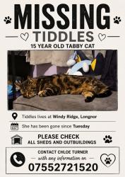 Lost Female Cat last seen Windyridge, Longnor, Longnor, England 