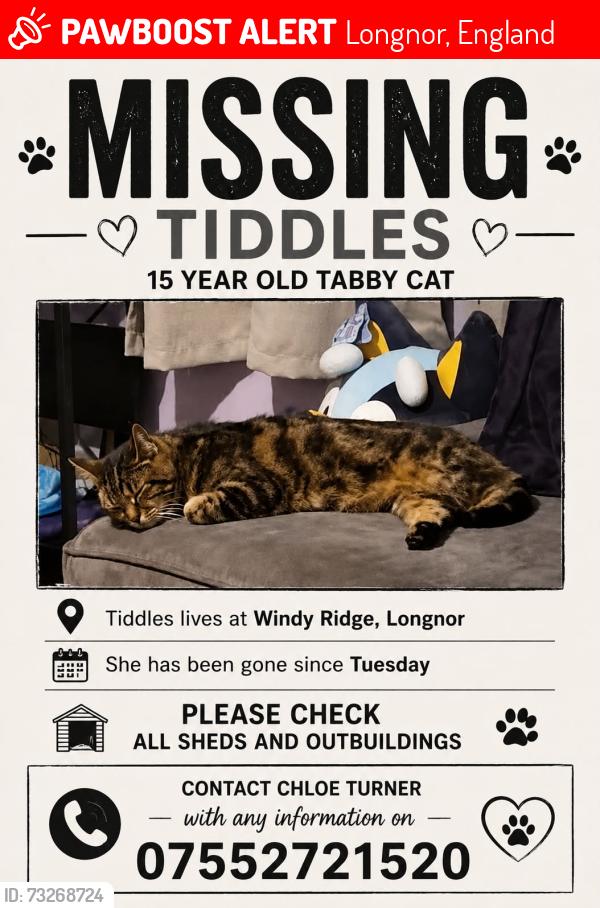 Lost Female Cat last seen Windyridge, Longnor, Longnor, England 