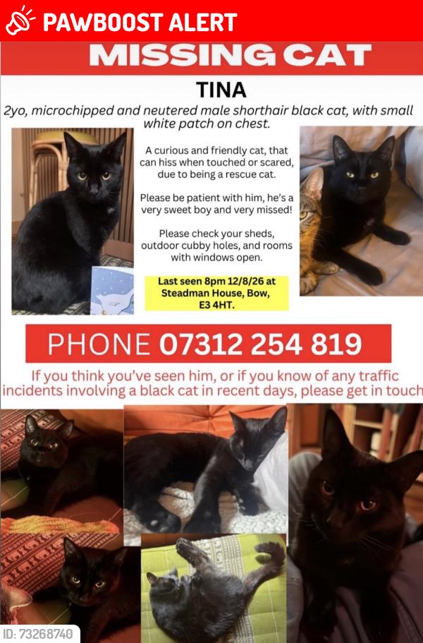 Lost Male Cat last seen Tower Hamlets Cemetery Park, Greater London, England E3 4HT
