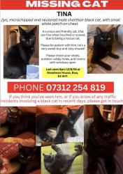Lost Male Cat last seen Tower Hamlets Cemetery Park, Greater London, England E3 4HT