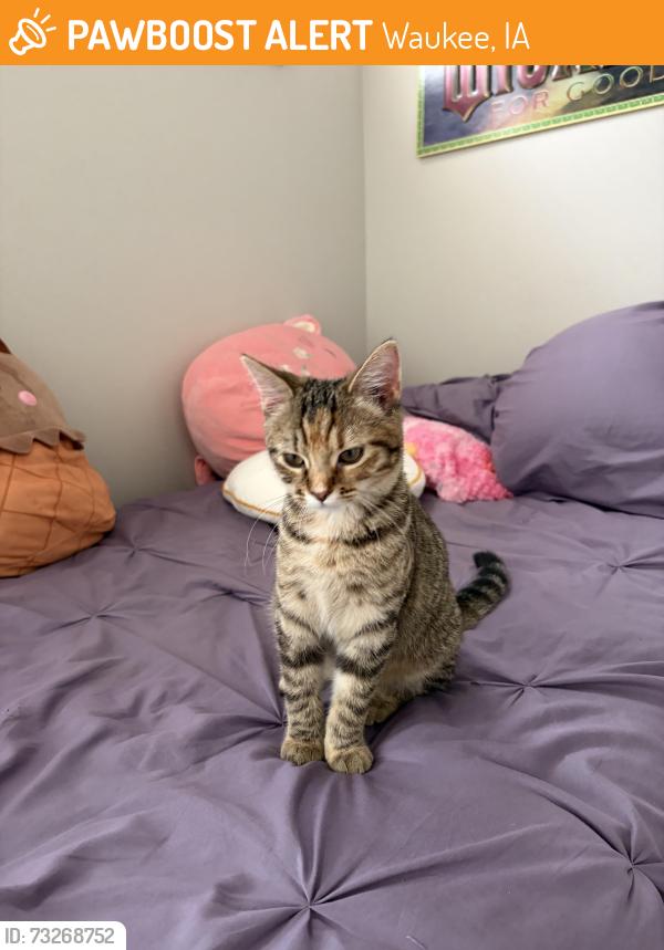 Found/Stray Unknown Cat last seen Near 98TH Street, Waukee, IA 50263