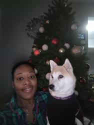 Reunited Female Dog last seen Heath and Hapsburge place, Hempstead, NY 11550