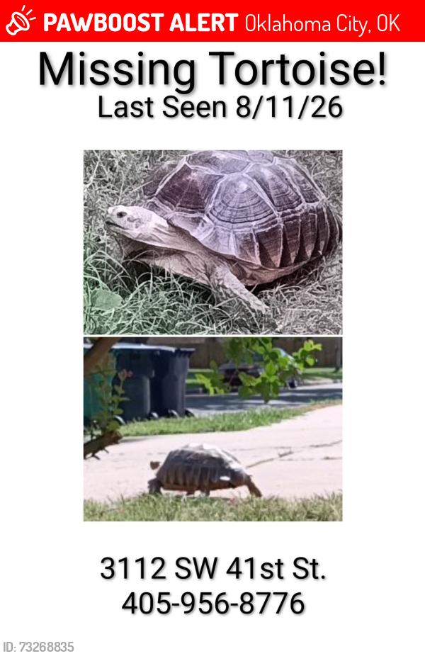 Lost Male Reptile last seen 44th and Independence, Oklahoma City, OK 73119