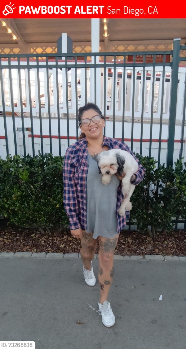 Lost Male Dog last seen College avenue and university avenue, San Diego, CA 92115