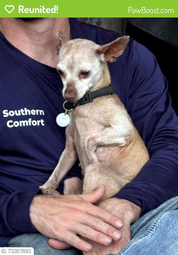 Reunited Female Dog last seen Near Troupeville Road, Valdosta, GA 31602
