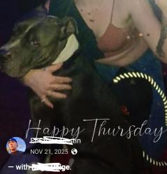Lost Male Dog last seen I'm not sure, Los Angeles, CA 90005