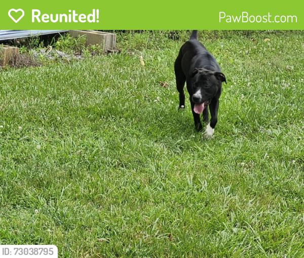 Reunited Male Dog last seen Hwy 58 & Smith Road, Hamilton County, TN 37363