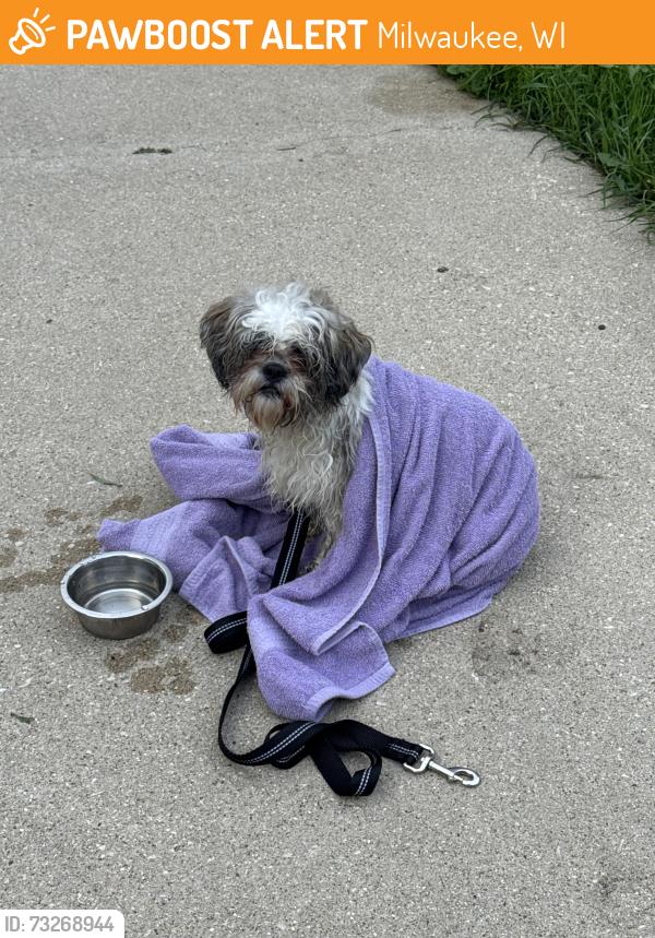 Found/Stray Male Dog last seen Whitnall Ave and Howard Ave near airport, Milwaukee, WI 53207
