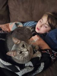 Lost Male Cat last seen Runny mead, O'Fallon, MO 63366