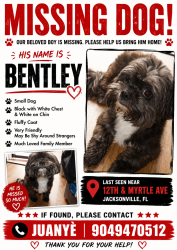 Reunited Male Dog last seen Myrtle, Jacksonville, FL 32209