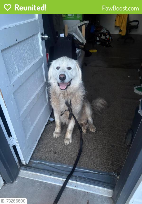 Reunited Male Dog last seen Near S mobile st, Aurora, CO 80013
