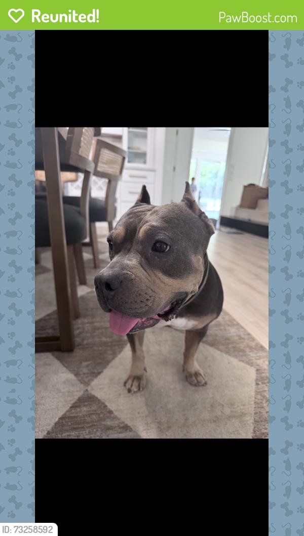 Reunited Female Dog last seen Near w Shady Shores, Shady Shores, TX 76208