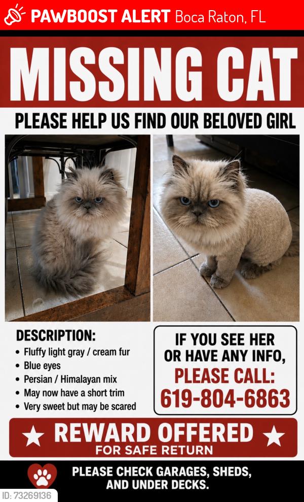 Lost Female Cat last seen Federal, Boca Raton, FL 33431