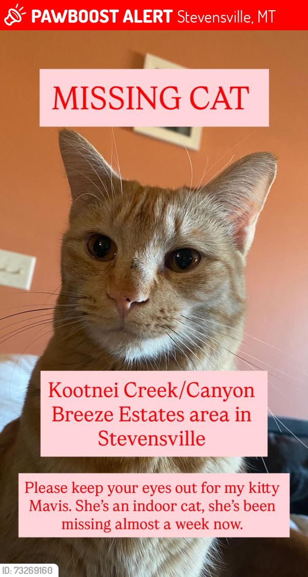 Lost Female Cat last seen Canyon breeze ests, Stevensville, MT 59870