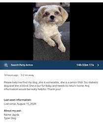 Lost Female Dog last seen Sahara and Sloan, Las Vegas, NV 89142