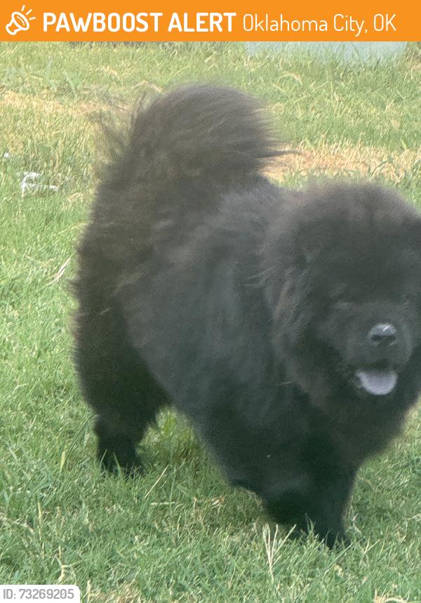 Found/Stray Male Dog last seen I-35, Oklahoma City, OK 73129