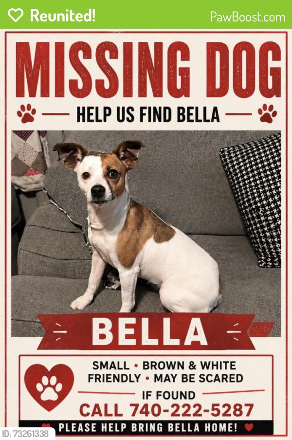 Reunited Female Dog last seen Dollar General, Latham, OH 45646