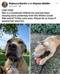 Lost Female Dog last seen W Trinity Lane, Nashville, TN 37207