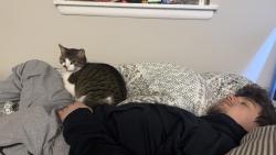 Reunited Female Cat last seen Glen Bernie, Kramer Ct. 8287 Kramer Ct, 21061 around neighorbhood, Glen Burnie, MD 21061