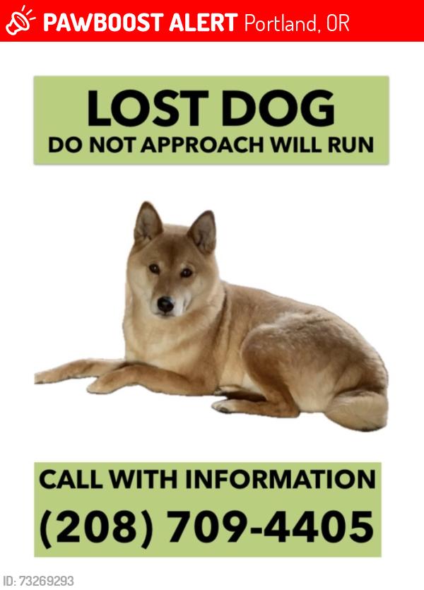 Lost Male Dog last seen Powell Butte and Springwater Corridor, Portland, OR 97236