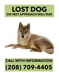 Lost Male Dog last seen Powell Butte and Springwater Corridor, Portland, OR 97236